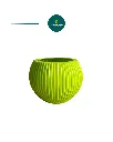 3.webp