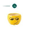 42.webp