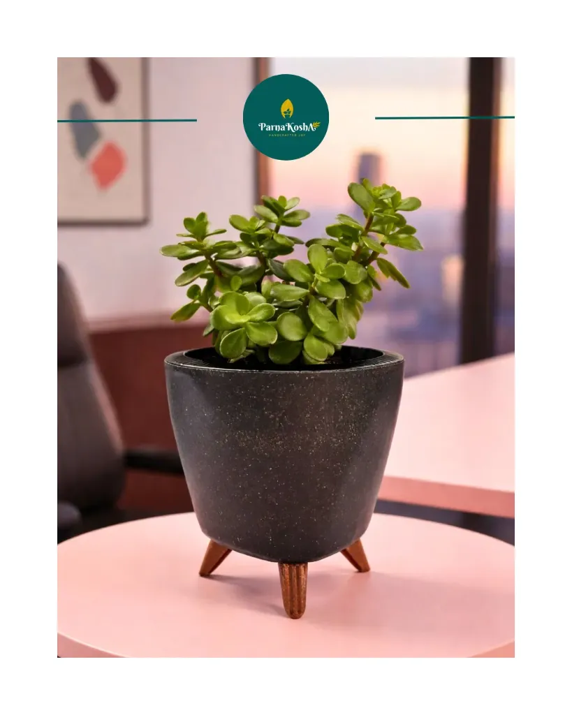 Lagos Eco (Earthen Black)