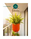 Sphere Hanging Self Watering Planter