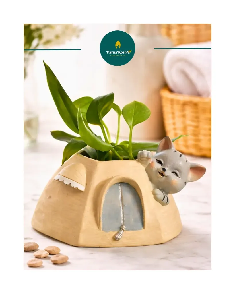 Cream Cat House