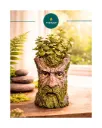 Tree Head Old Man Face Planter