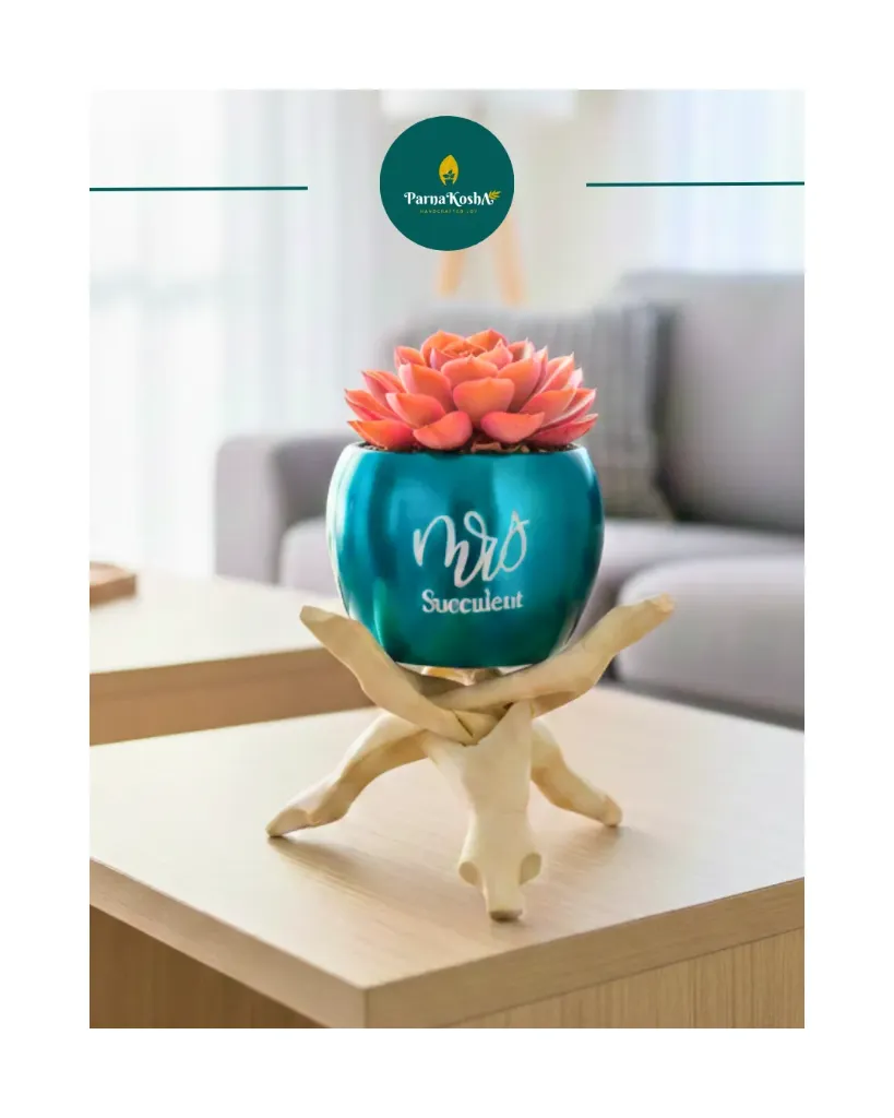 Mrs. Succulent Metal Planter with Wooden stand