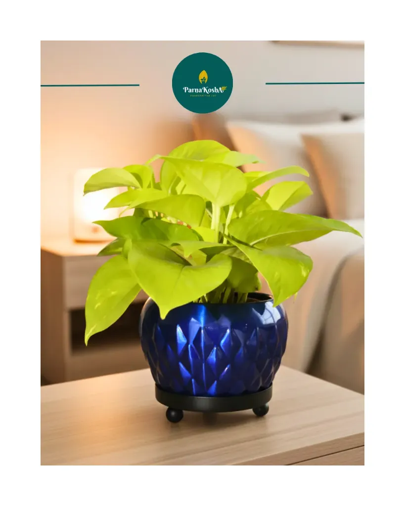 Metal Diamond Design Planter (Navy Blue)