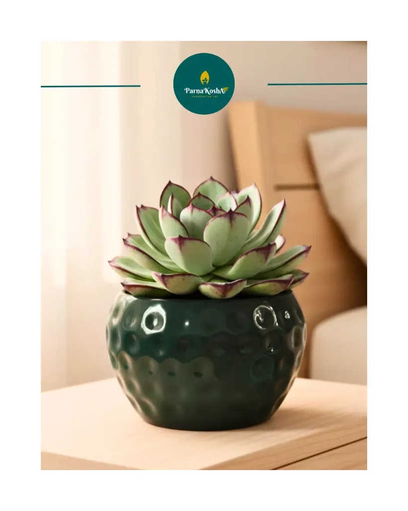 Metal Hammered Design Planter (Without Stand) (Dark Green)