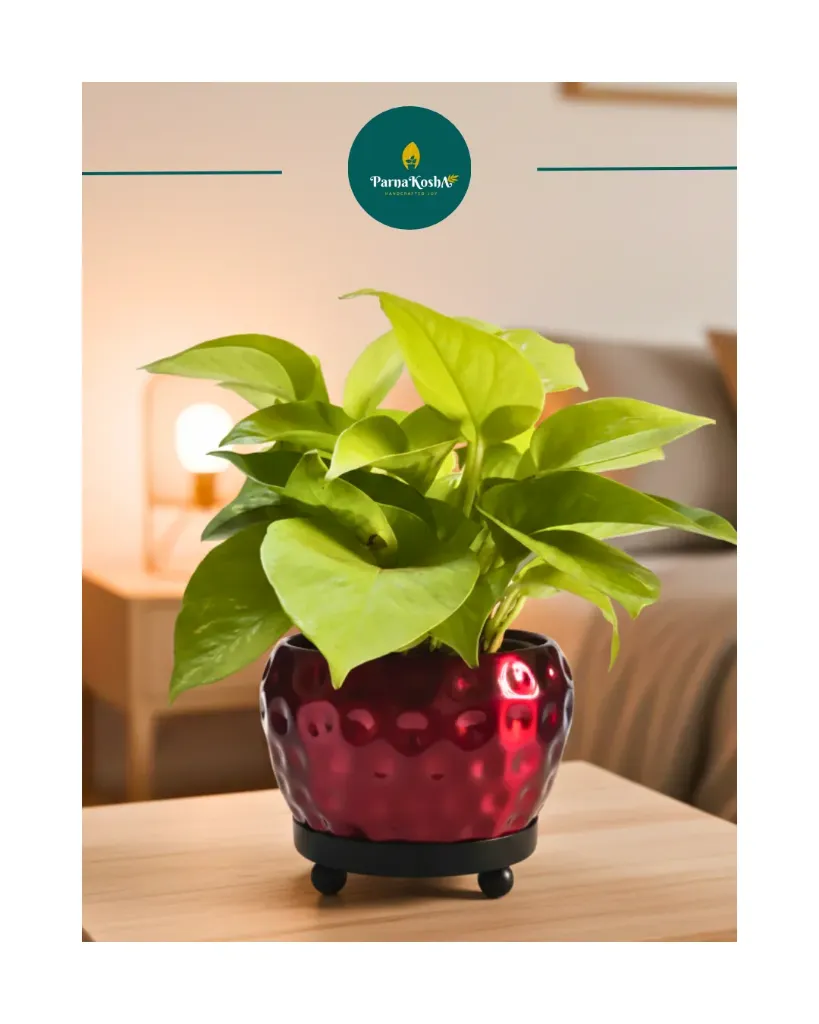 Metal Hammered Design Planter (with stand) (Cherry Red)