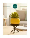 Metal Small Bowl Planter (with Stand)