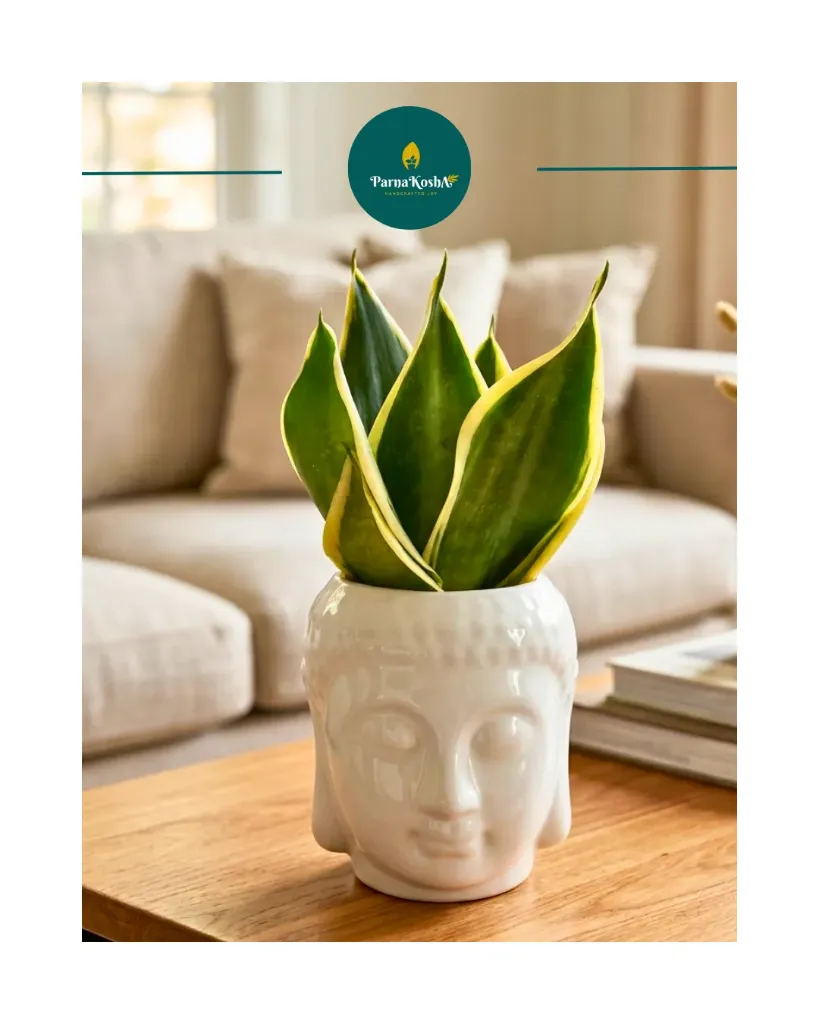 Buddha Ceramic Planter (White)