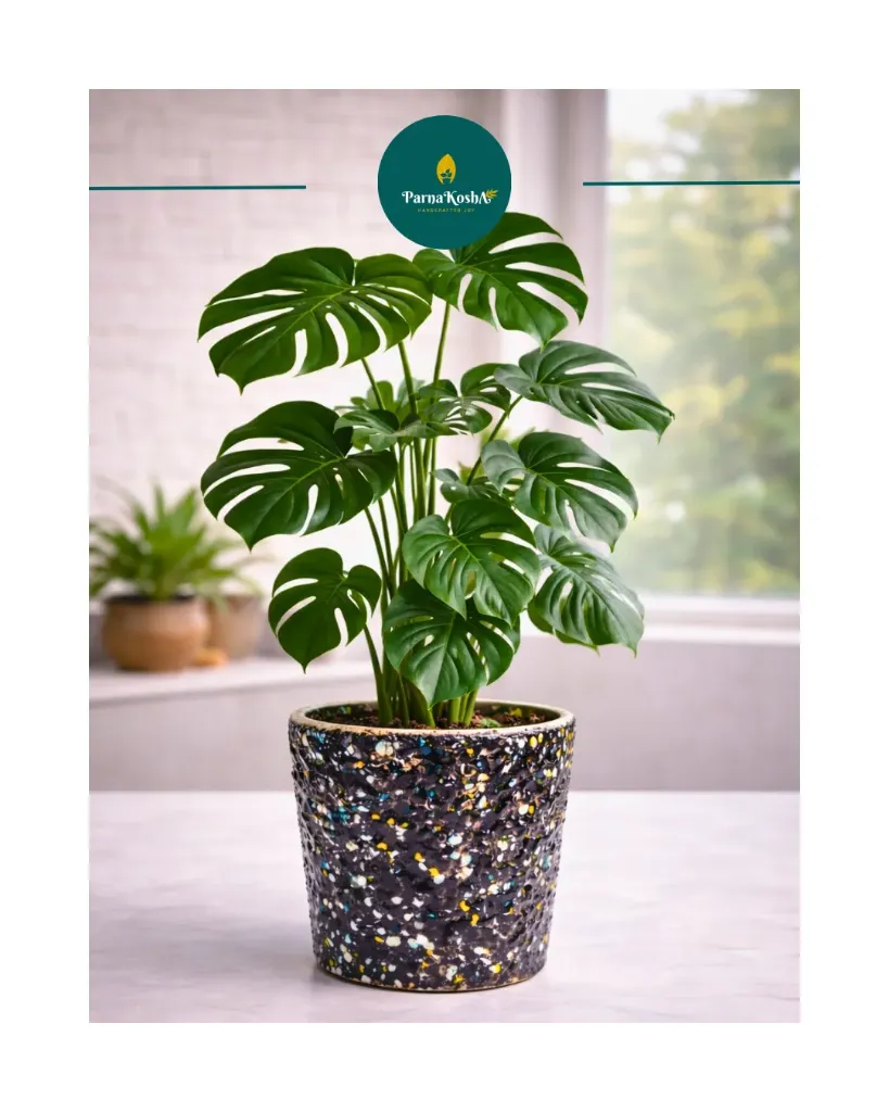 Black Marble Finish Ceramic Tumbler