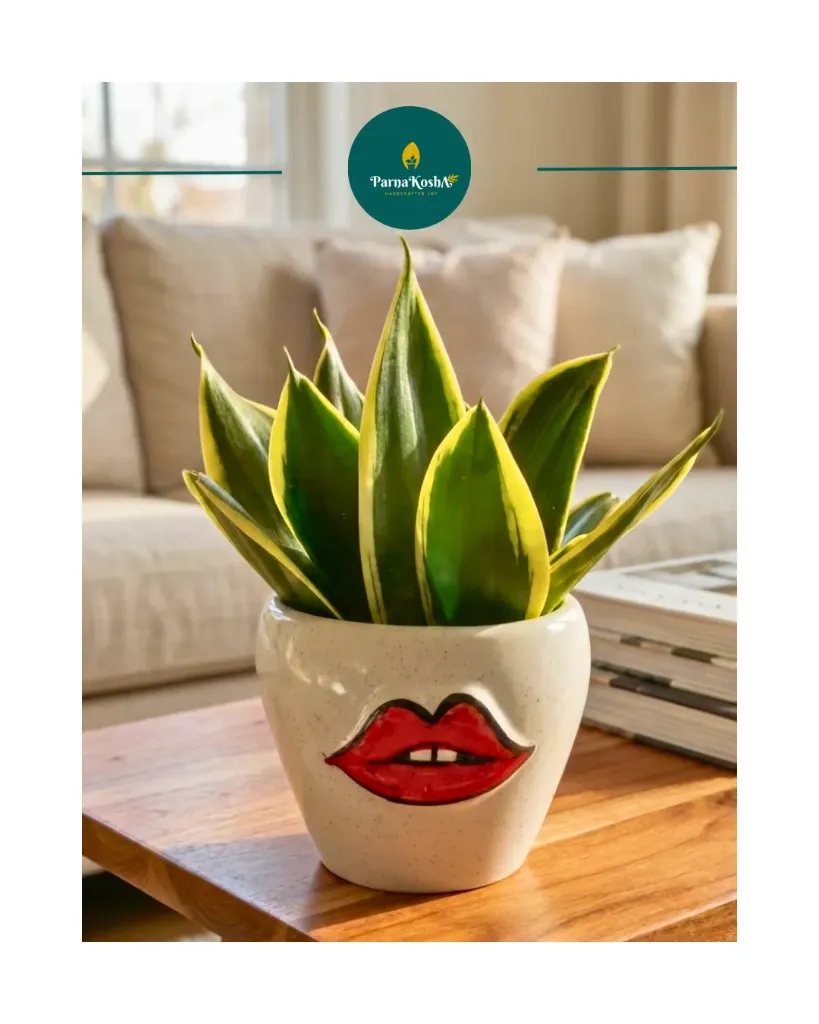Ceramic Lip Planter