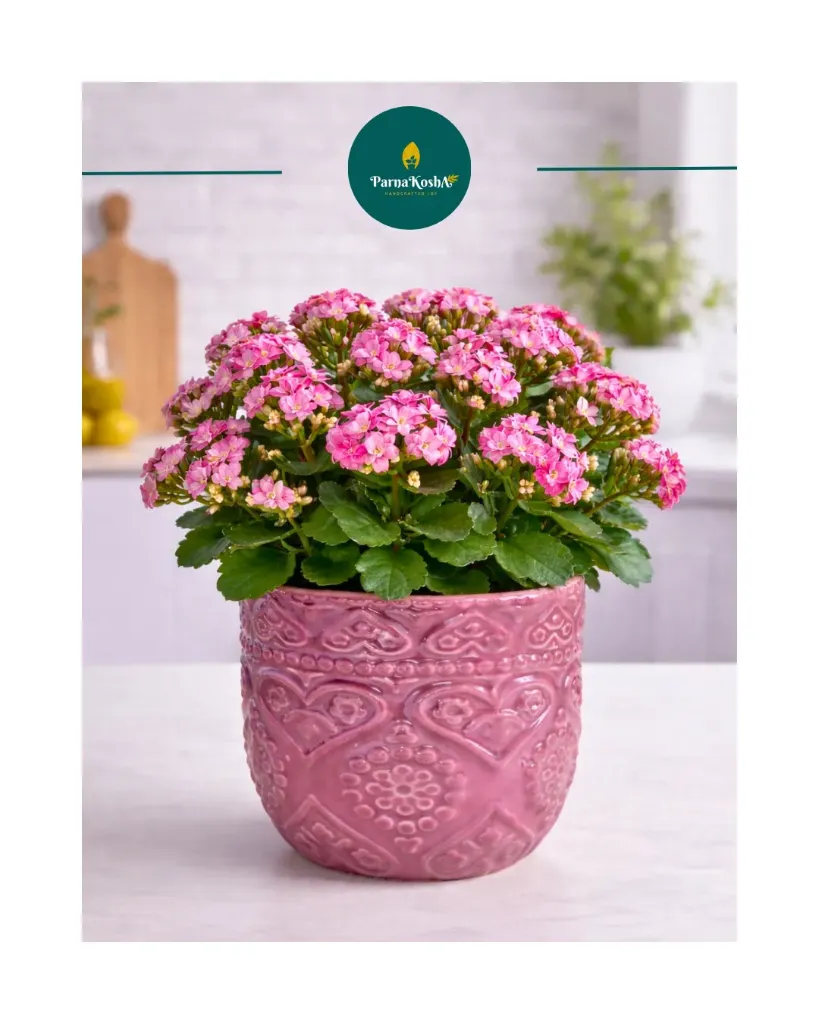 Hancrafted 3D Embossed Planter (Mauve)