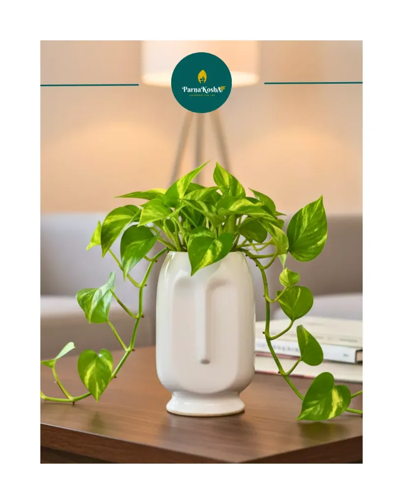 Abstract Face Ceramic Vase