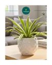 Diamond Ball Ceramic Planter