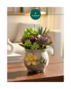 Ceramic Designer Flower Planter