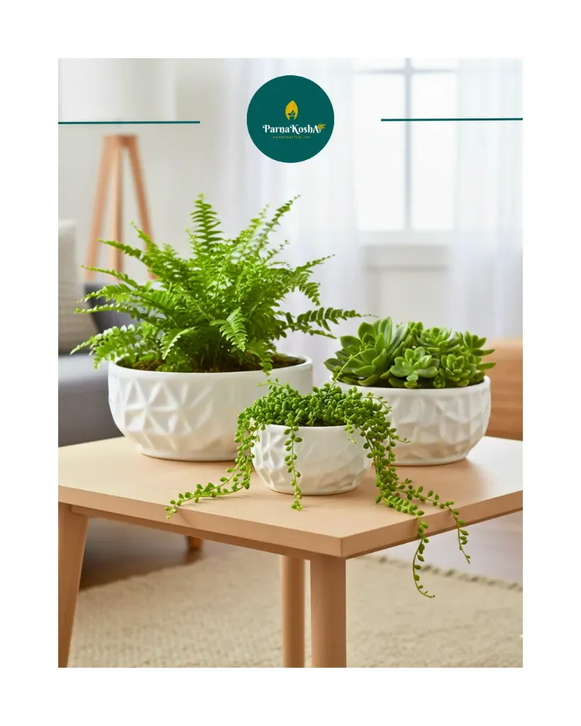 Diamond Pattern Bonsai 3 pc. set