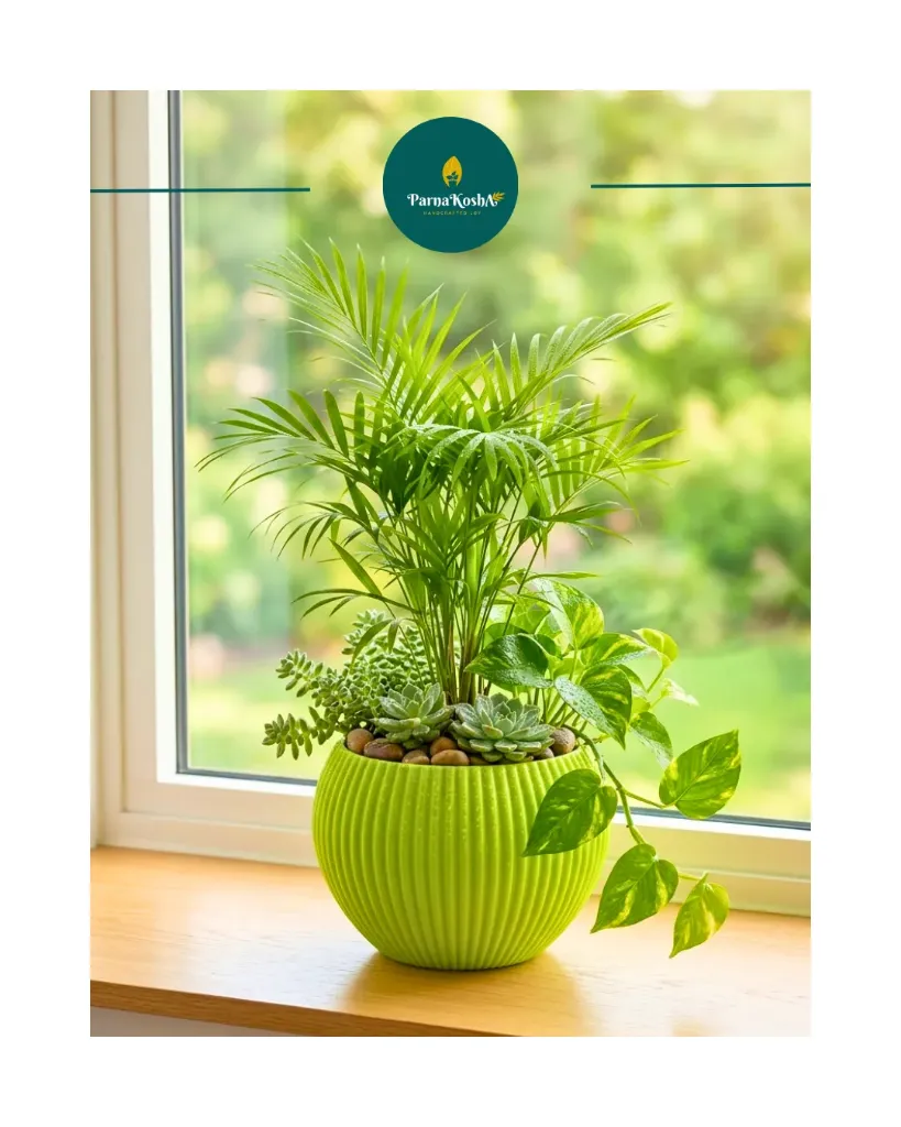 Musk Melo Pot (Green)