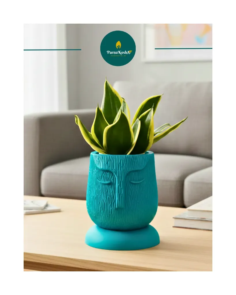 Face Kraft Self Watering Pot