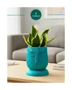 Face Kraft Self Watering Pot