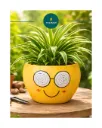 Dizzy Daisy Metal Planter