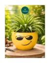 Sunny Shades Metal Planter