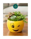 Winking Willow Metal Planter