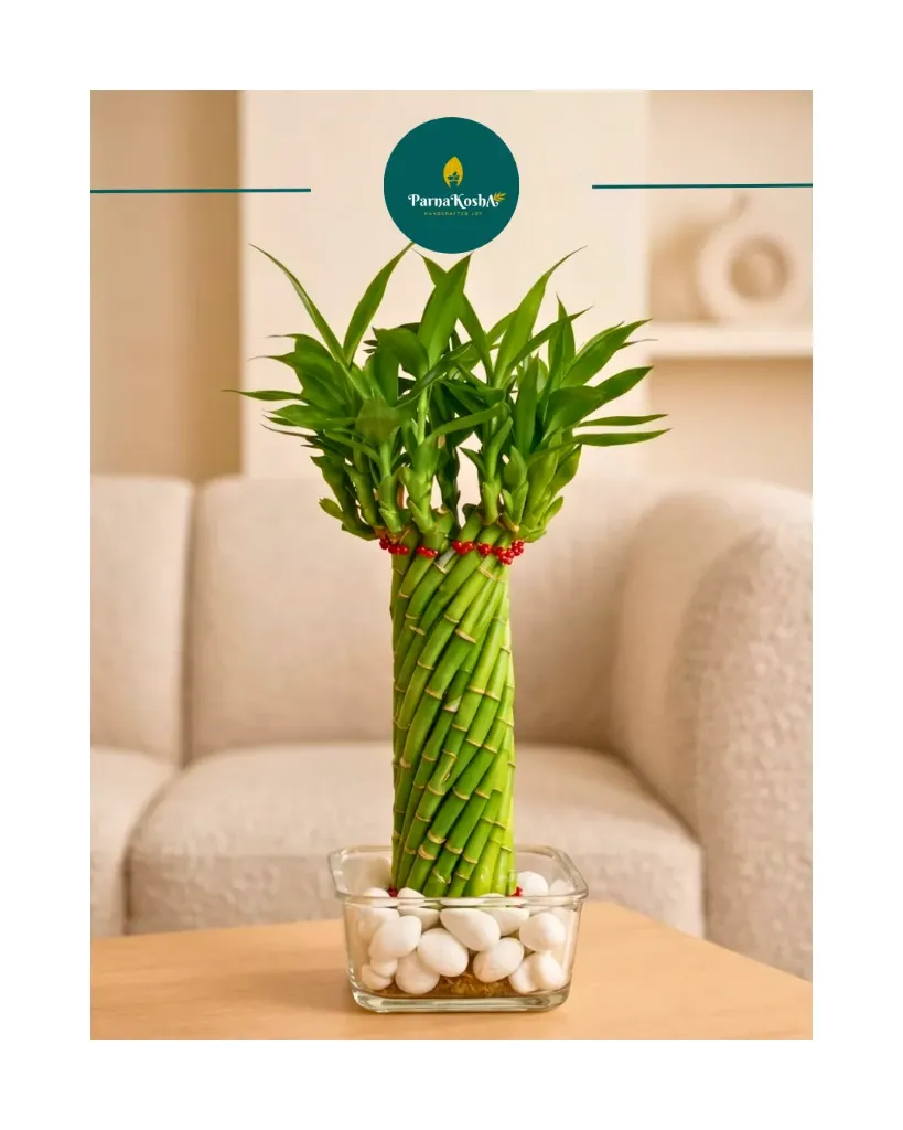 Fengshui Lucky Wheel Bamboo with Glass Plate