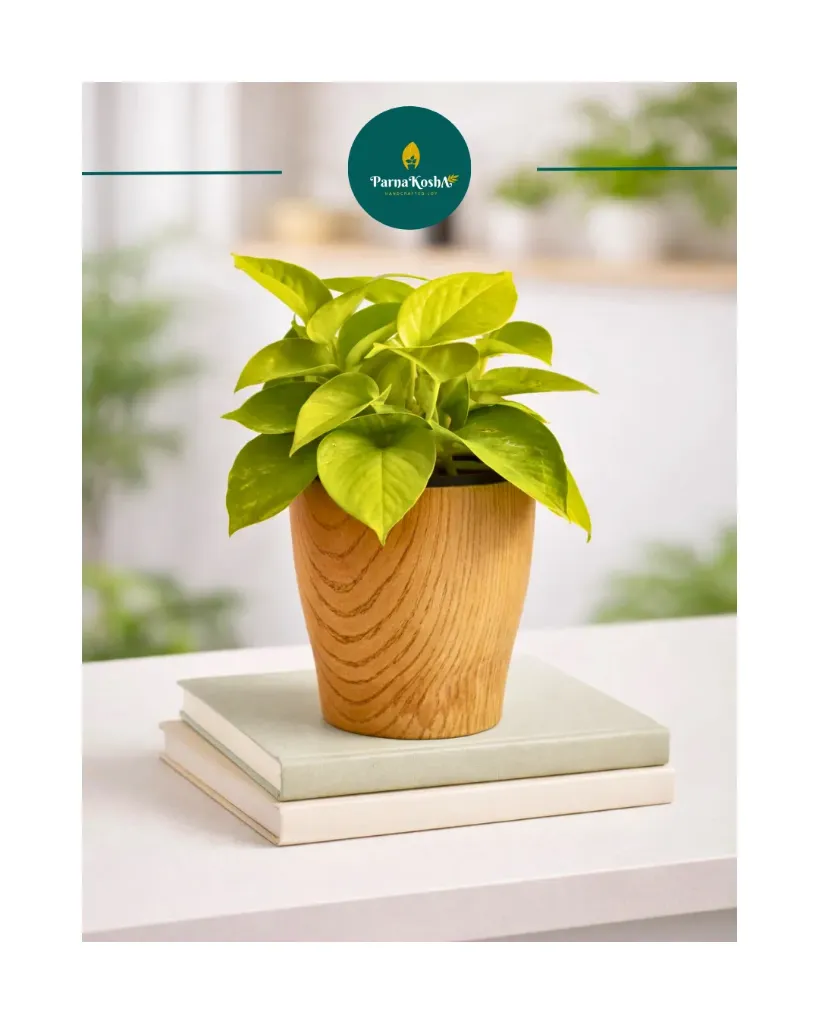 Cone Printed Self Watering Planter (Dark Wood)