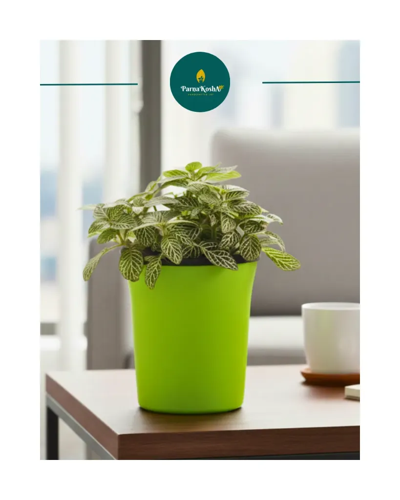 Oslo Self Watering (Green)