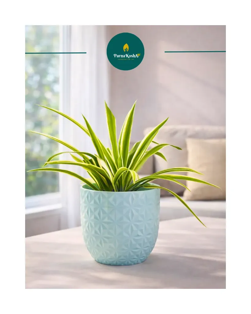 Verona Diamond (Blue)