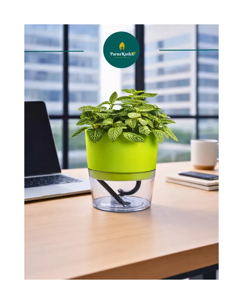 Lobello Transparent Self Watering (Green)