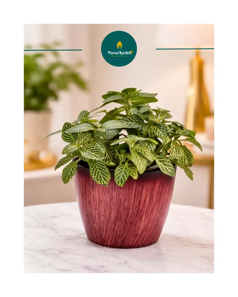 Valencia Wood Finish